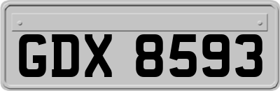 GDX8593