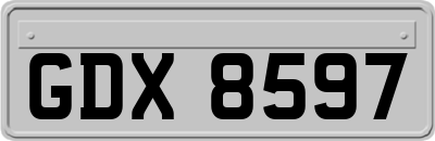 GDX8597