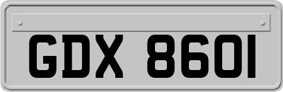 GDX8601