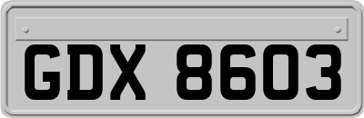 GDX8603