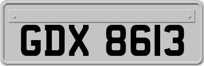 GDX8613