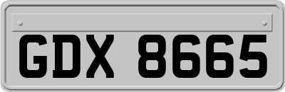 GDX8665