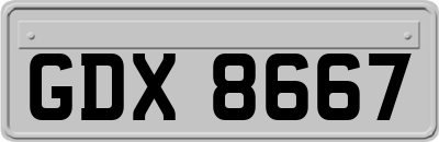 GDX8667