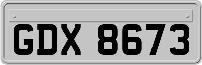GDX8673