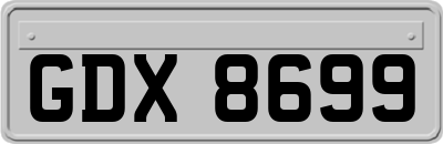 GDX8699