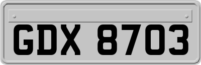 GDX8703