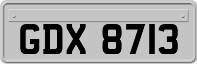GDX8713
