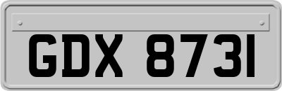 GDX8731