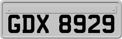 GDX8929