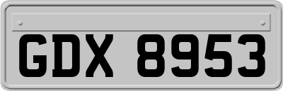 GDX8953