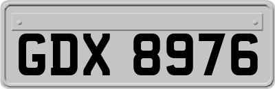 GDX8976