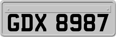 GDX8987