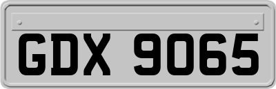 GDX9065