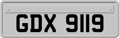 GDX9119