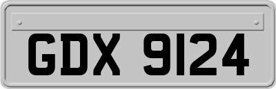 GDX9124