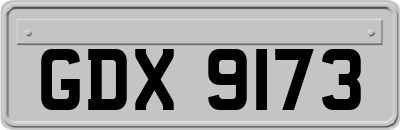 GDX9173