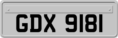 GDX9181