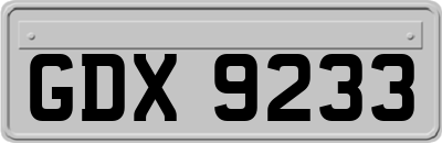 GDX9233