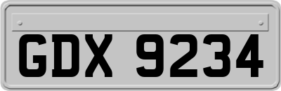GDX9234