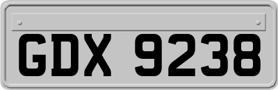 GDX9238