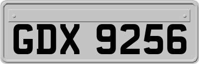 GDX9256
