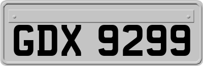 GDX9299
