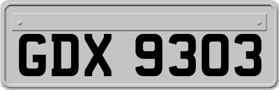 GDX9303