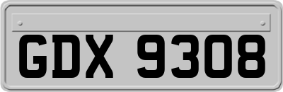 GDX9308