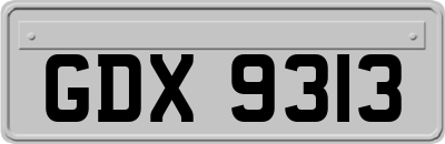 GDX9313