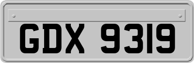 GDX9319