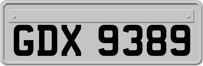 GDX9389
