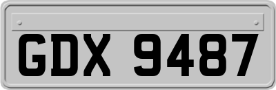 GDX9487
