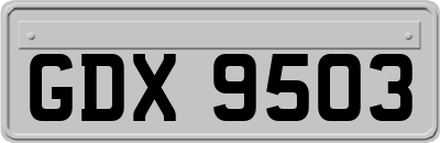 GDX9503