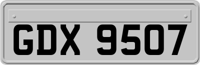 GDX9507