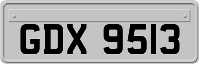 GDX9513