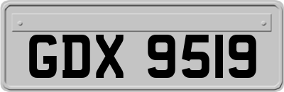 GDX9519