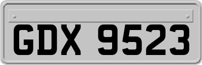 GDX9523