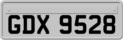 GDX9528