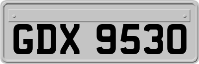 GDX9530