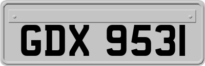 GDX9531