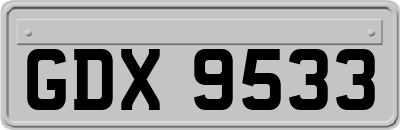 GDX9533