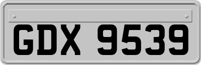 GDX9539