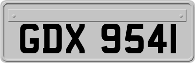 GDX9541