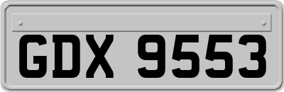 GDX9553