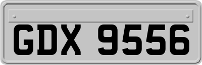 GDX9556