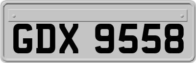 GDX9558