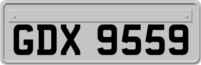 GDX9559