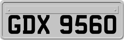 GDX9560