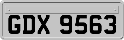GDX9563