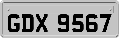 GDX9567